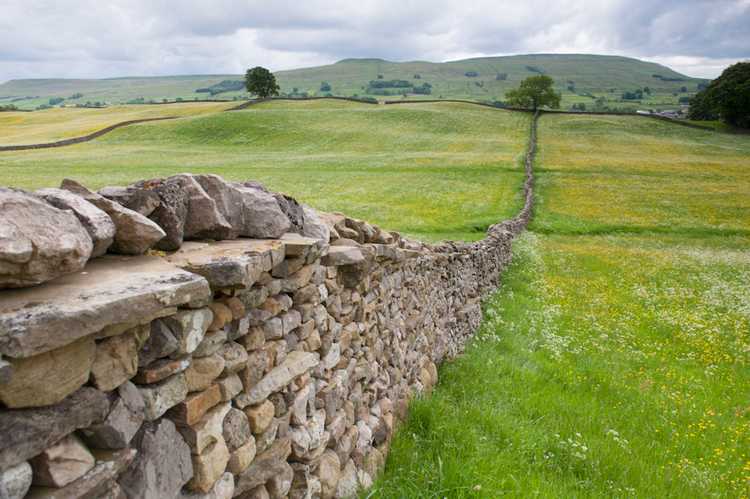 stone wall